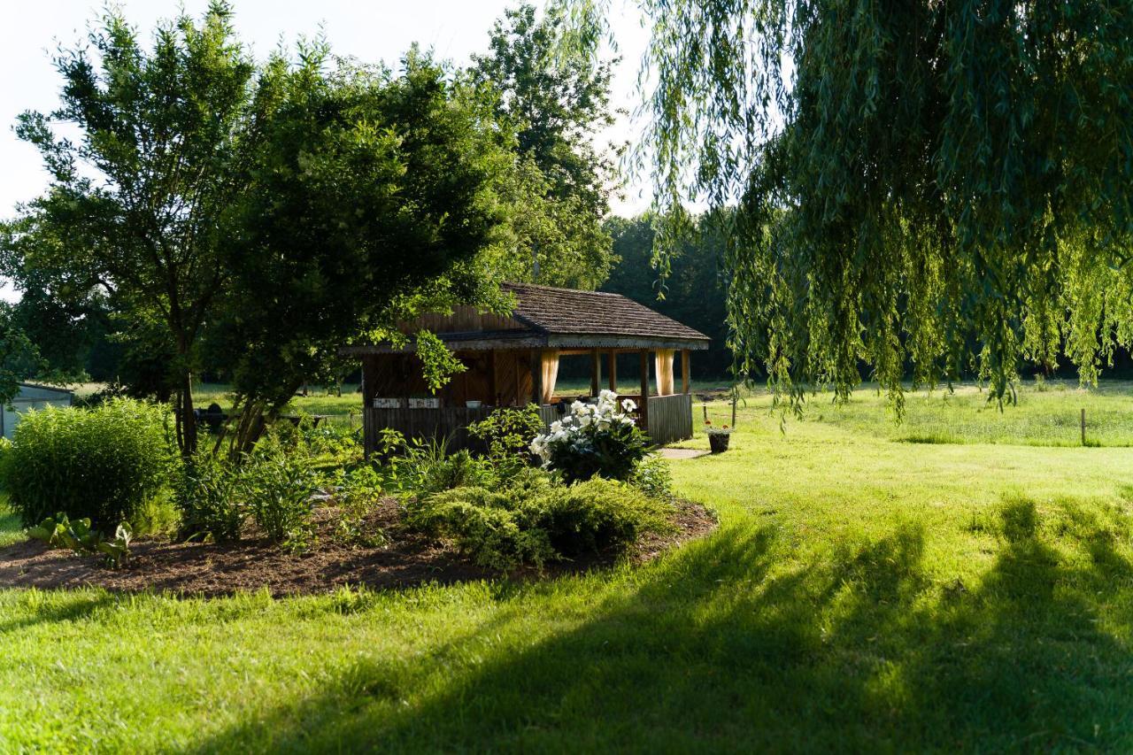 Wigierska Zagroda - agroturystyka Suwałki Zewnętrze zdjęcie